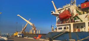 Pure a Grade High Quality <b>1L</b> Cooking Palm Coconut Oil Ventilated Dry Place Edible Oil for Food Hotest Plant Oils - Product Image 5