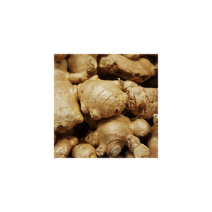 รากขิงสดออร์แกนิกธรรมชาติช่วยย่อยอาหาร - Product Image 4