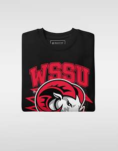 เสื้อสเวตเชิ้ตพรีเมียม WSSU Winston Salem State University เสื้อฮู้ดดี้แบบกำหนดเองสำหรับวิทยาลัย ผ้าฟลีซ ยูนิเซ็กซ์ ผ้าฝ้าย 100% สไตล์สตรีท OEM HBCU - Product Image 2
