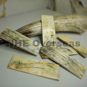 แผ่นฮอร์นสีขาวสไตล์แอฟริกันแบบพรีเมี่ยมสำหรับแว่นตาสุดหรูและงานประดิษฐ์กรอบแว่นกันแดด | nhe ต่างประเทศ - Product Image 3