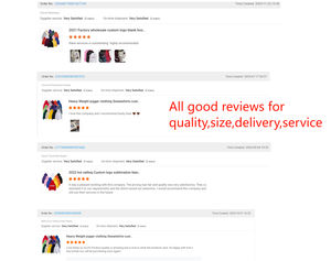 Sweatshirts à capuche en coton épais 360gsm 420gsm 480gsm 500gsm Logo brodé personnalisé Sweatshirts à capuche surdimensionnés Pas de haute qualité - Product Image 3