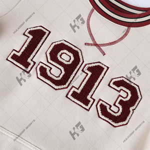 Delta 1913 | Sigma |   Sweat-shirt universitaire personnalisé Thita pour sororité, broderie chenille, lettres, unisexe, vêtements universitaires, vente en gros, hiver - Product Image 3