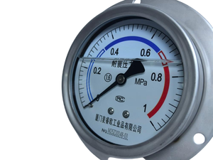 เกจวัดความดันแบบท่อ Bourdon สแตนเลส ขนาด 60 มม. บรรจุของเหลว ติดตั้งบนแผง แบบหน้าแปลนด้านหน้า ทนแรงกระแทก - Product Image 5