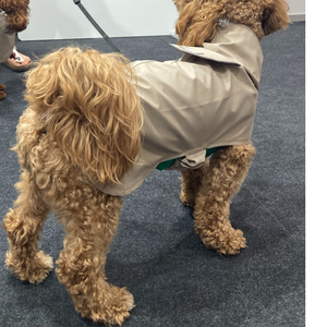 Venta al por mayor de fábrica, chubasquero para perros y gatos para mascotas medianas, chaqueta a prueba de viento Popular de Color sólido para verano, invierno y primavera - Product Image 3