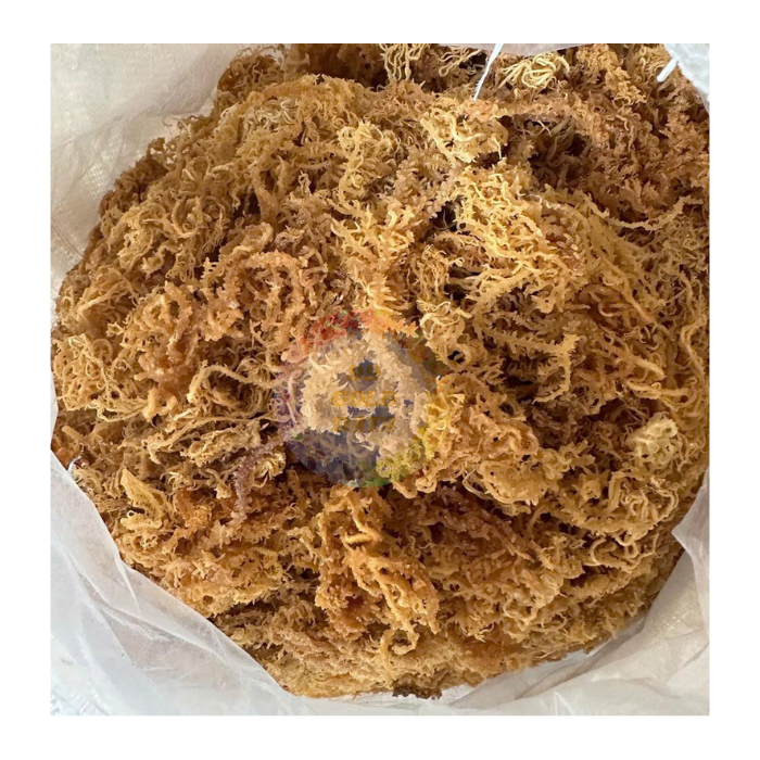 Pure Dried Eucheuma Cottonii Seaweed in Bulk - Natural Thickening Agent for Food and Cosmetics Industry