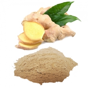 POUDRE DE GINGEMBRE PREMIUM DU VIETNAM, ÉPICE NATURELLE POUR LA CUISSON, LES BOISSONS À BASE DE PLANTES ET LE TRAITEMENT DES ALIMENTS |   Mme Lily Ngo - Product Image 4