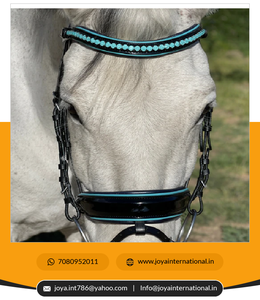 Édition limitée Fidji Black Patent Snaffle Bridle Produit de cheval plié de bonne qualité - Product Image 5