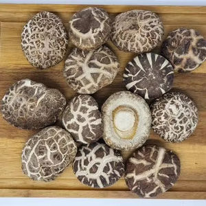 Champignons Shiitake séchés biologiques du Vietnam Savoureux et délicieux Meilleur prix - Product Image 1