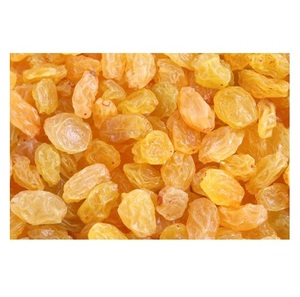 Raisins secs naturels en vrac de haute qualité, non-OGM, dorés (Jumbo), pour l'alimentation - Product Image 4