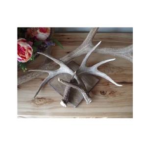 Cheap Deer Antlers / Wholesale Premium Quality Red Deer Antlers - Product Image 1