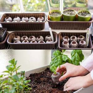 Vente en gros de granulés de coco de fibre de coco naturelle pour planter un arbre ou un légume facile à utiliser - Product Image 3