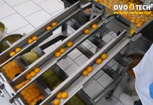 Rompehuevos OVO-TECH RX-4, Máquina para Romper Huevos, Caja de Engranajes con Alimentador de Correa Autoajustable, Capacidad Comercial de 26000 Huevos/Hora - Product Image 3