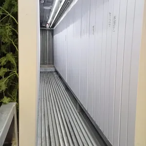 Fabrika kaynağı 40ft akıllı sebze MICROGREEN yetiştirme odası sera çiftlik konteyner AQUAPONIC hidroponik