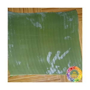 Hoja de plátano Hojas de plátano verdes Exportación al por mayor Precio barato Hoja de plátano congelada de alta calidad natural Envasado de alimentos duradero - Product Image 3