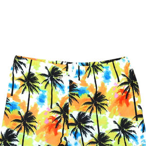 Premium personalizado sublimación estética Casual gimnasio desgaste hombres verano deporte poliéster pantalones cortos Streetwear correr malla pantalones cortos - Product Image 5