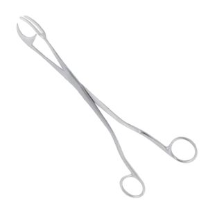 Pinzas Esterilizadoras Rogge de 8 Pulgadas, 1x2 Puntas, Premium - Product Image 6