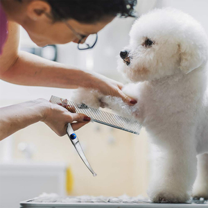 Ciseaux de toilettage professionnels pour animaux de compagnie Ciseaux de toilettage pour cheveux à bord émoussé avec silencieux à vis réglable Outil de beauté à pointe de lame tranchante - Product Image 6