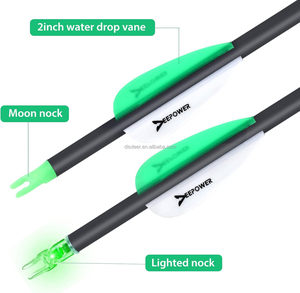 Frecce in Carbonio da 31 Pollici, Confezione da <span class=keywords><strong>6</strong></span> con Punte Luminose e Cucchiaini Luminosi per Arco Compound e Arco Ricurvo, Spine 300 350 400 500 - Product Image 3