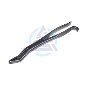 Fórceps Dentales Equinos para Dientes de Lobo, Perfil Delgado, Alicates para Animales Pequeños, Instrumentos Quirúrgicos de Extracción y Luxación Precisa para Veterinarios - Product Image 4