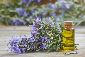 Huile Essentielle de Cineol de Romarin 100% Pure et Biologique de Haute Qualité en Gros pour Cheveux Abîmés, Cheveux Bouclés, Peptides Végétaliens, Soulagement du Stress, Lissage - Product Image 2