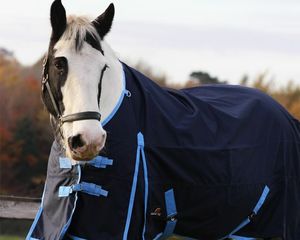 Tapis de participation pour chevaux léger sans remplissage Standard Neck Waterproof - Product Image 5
