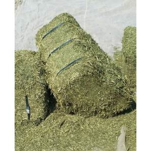 Wholesale Premium Feed Grade Alfalfa Hay High Quality Bulk Natural Green for Dogs Cattle Horses 25kg/bag - Product Image 2