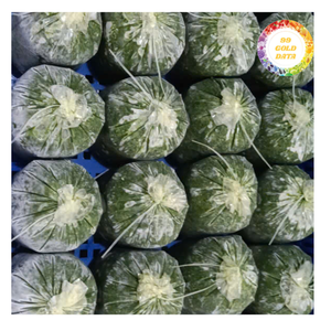 Feuilles de manioc surgelées de qualité supérieure, qualité IQF, pour les marchés mondiaux - Product Image 2