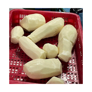 YAM BLANCO CONGELADO PREMIUM CALIDAD DE EXPORTACIÓN HECHO EN VIETNAM CON EL MEJOR PRECIO LIMPIO, FRESCO, ASEQUIBLE - Product Image 2