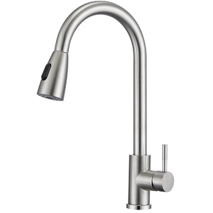 Смеситель для кухонной раковины с высокой дугой и одной ручкой - Product Image 1