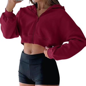 Sudadera corta de manga larga para mujer de alta calidad, Sudadera con capucha, Jersey Y2K con cremallera, ajuste holgado informal para Otoño/Invierno, logotipo frontal - Product Image 5