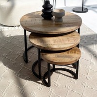 La fonctionnalité de l'élégance forestière met en valeur l'espace de vie naturel affichant l'hébergement Table basse en bois de mangue robuste et élégante