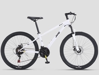Nouveau Vélo de Route Professionnel Complet 24 Vitesses avec Freins à Disque en Acier, Fabrication Chinoise 2026