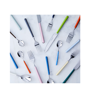 Ensemble de couverts en acier inoxydable avec poignée en résine, design moderne Fabricant et exportateur Ensemble de couverts en métal au design nouveau