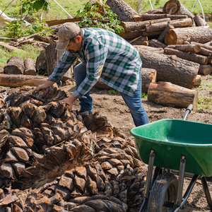 Paleta Surtida de Mezcal Descartes ESPADIN y MADRE CUISHE 100% Agave 45% ABV 750mL Grado Excelente Oaxaca México - Product Image 2