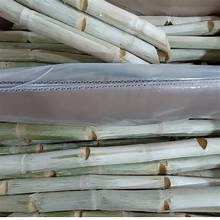 CANNE À SUCRE PURE CONGELÉE ÉTIQUETTE NATURELLE À BASE DE PLANTES SUPPORT IMMUNITAIRE - Product Image 3