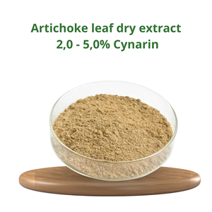 สารสกัดจากอาร์ติโช้ค100% ธรรมชาติ2-5% cynarin ใบอาติโช๊ค - Product Image 2