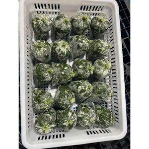 Hojas de mandioca congeladas de Vietnam con precios competitivos de exportación a granel - Product Image 1