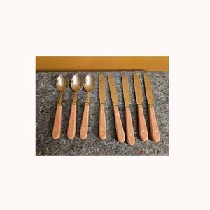 Cubiertos chapados en plata personalizados, cubiertos elegantes de acero inoxidable con mango de resina de Color melocotón - Product Image 1