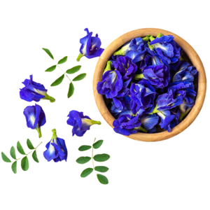 ดอกถั่วสีน้ำเงินแห้งสำหรับชาและย้อมสีธรรมชาติ - Product Image 6