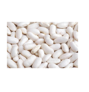ถั่วสีขาวขายส่งสำหรับทำอาหารกระป๋องและอุตสาหกรรมอาหารนานาชาติที่ต้องการ - Product Image 2