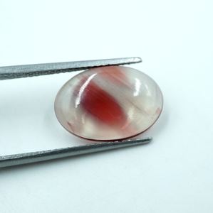 Cabujón de piedras preciosas de corte ovalado de coral natural para la fabricación de joyas de Mongolia - Product Image 3