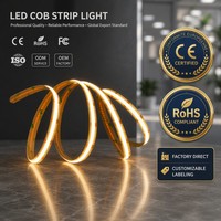 Tira de Luz LED COB Súper Brillante sin Puntos, 12V 24V CRI90+, Solución de Iluminación Lineal Flexible, PCB de 8mm, 320LEDs/m, para Estadios Deportivos, 10m