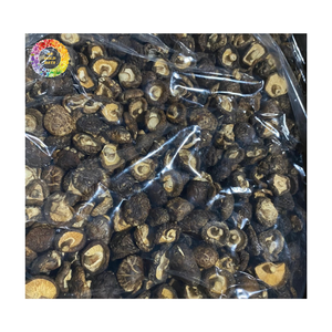 Champignons Shiitake séchés, champignons chinois naturels pour la cuisine et l'industrie alimentaire, cubes de champignons Shiitake séchés 100% naturels - Product Image 2