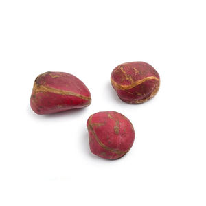 Noix de kola de qualité supérieure (fruit du gourou) 100% noix amères naturelles pour la santé et l'énergie, quantité en vrac disponible pour l'exportation - Product Image 5