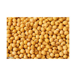 Farine de soja à haute teneur en protéines de qualité alimentaire pour animaux farine de soja en vrac non OGM parfait comme protéine additive - Product Image 4