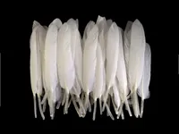 Plumes de canard blanches lavées de qualité supérieure sélectionnées pour la literie et les textiles de maison - OEM et export en gros disponibles