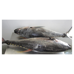 Thon jaune congelé de haute qualité, organisé pour une approvisionnement commercial régulier - Product Image 5