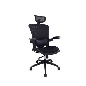 Silla de soporte Lumbar para el hogar - Product Image 1