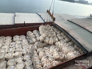 Cemento Portland Ordinario Vietnamita de Alta Calidad para Construcción, Grado de Resistencia 42.5-62.5 MPa, Endurecimiento Extra Rápido, Mejor Precio - Product Image 5