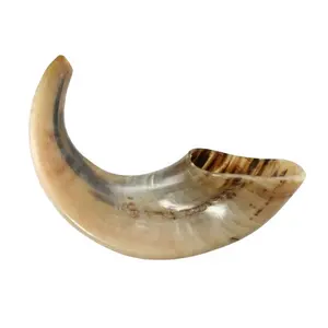 Shofar Rams Horn - Extra Small Glossy Shine Polish Jewish Accessories